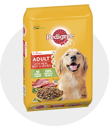 Dog Food BIG W